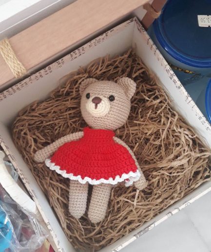 Bear in red dress